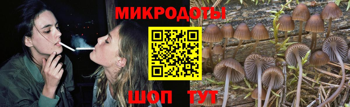 Псилоцибиновые грибы GOLDEN TEACHER  Вход с VPN  Нарткала  Галлюциногенные грибы мицелий 